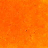 oranžové sklo